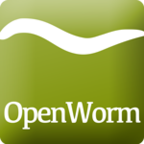 (c) Openworm.org